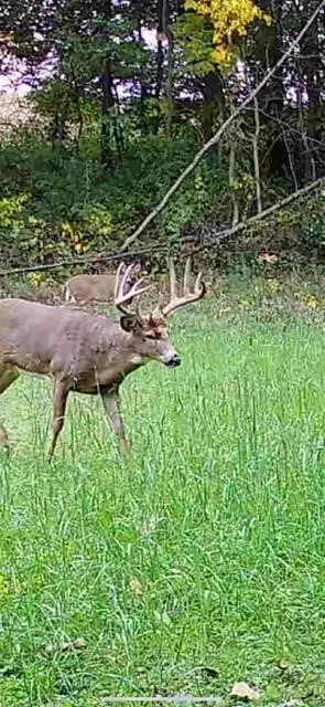 W River, Otsego, MI 49078