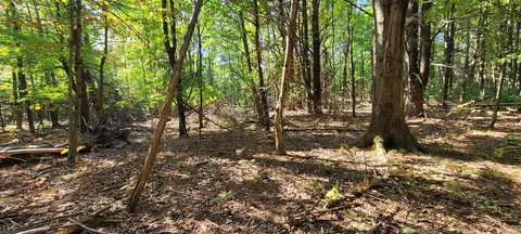 Park, Pentwater, MI 49449