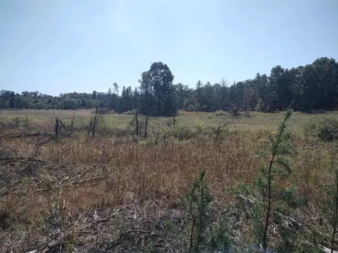 Dalson, Holton, MI 49425