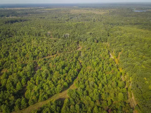 V/l E 16 Mile - A, Bitely, MI 49309