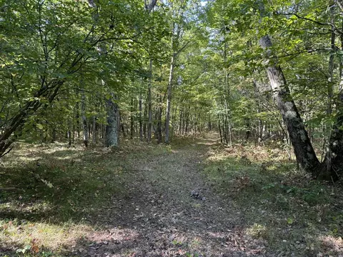 Exterior - 6837 N Lone Elk, Irons, MI 49644 photo 12 of 15