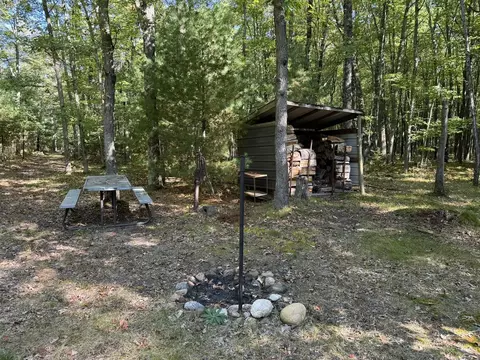 Exterior - 6837 N Lone Elk, Irons, MI 49644 photo 4 of 15