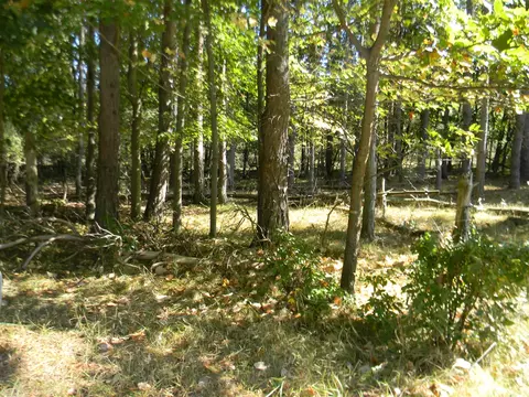 11682 Red Feather, Canadian Lakes, MI 49346