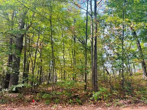 0 Ramona Park, White Cloud, MI 49349