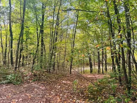 0 Ramona Park, White Cloud, MI 49349 photo 3
