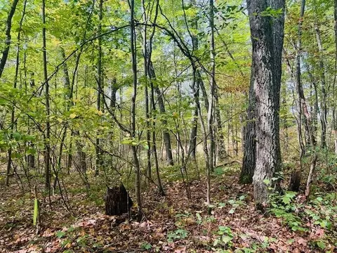 0 Ramona Park, White Cloud, MI 49349 photo 5