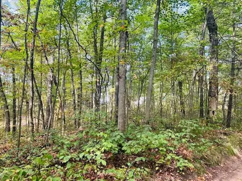 0 Ramona Park, White Cloud, MI 49349 photo 6