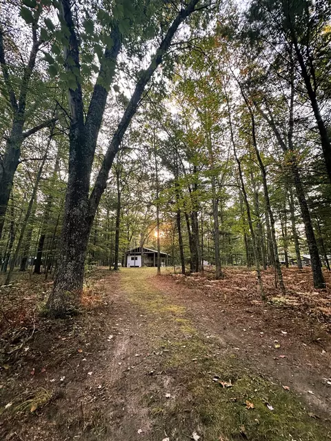 8751 N Squaw Lk, Irons, MI 49644