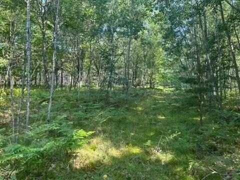 Nn W Erdman, Lake City, MI 49651
