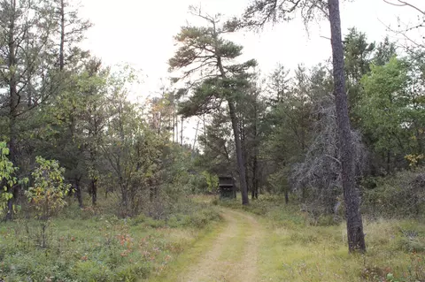 6396 Lovells Rd, Grayling, MI 49738 photo 23