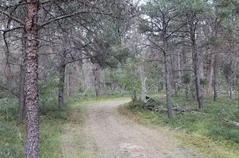 6396 Lovells Rd, Grayling, MI 49738 photo 21
