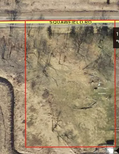 0 Squawfield, Osseo, MI 49266