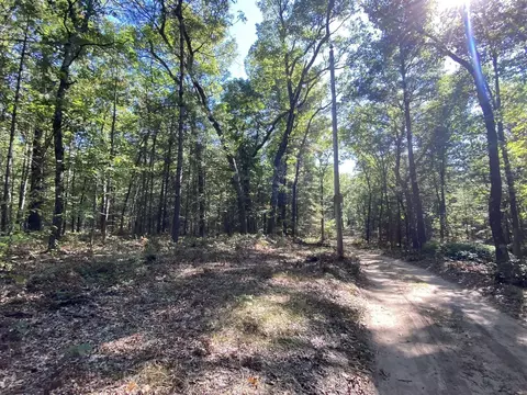s clay LOT 19, Newaygo, MI 49337 photo 4