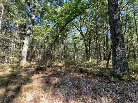s clay LOT 19, Newaygo, MI 49337 photo 2