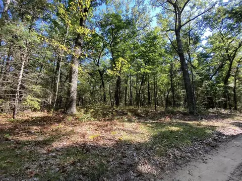 s clay LOT 19, Newaygo, MI 49337 photo 5