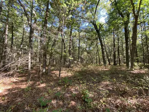 s clay LOT 19, Newaygo, MI 49337 photo 3