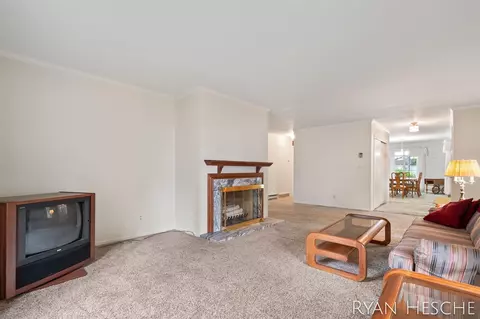 219 N Lincoln, Stanton, MI 48888 photo 8