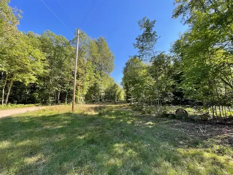 Deerfield East, Reed City, MI 49677