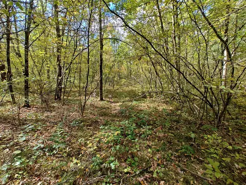 Vl S Walnut Ave, White Cloud, MI 49349 photo 30