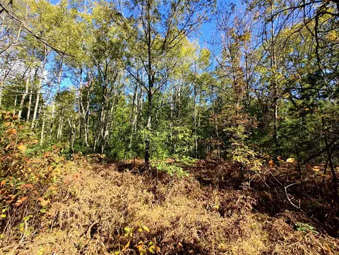 Vl S Walnut Ave, White Cloud, MI 49349 photo 15