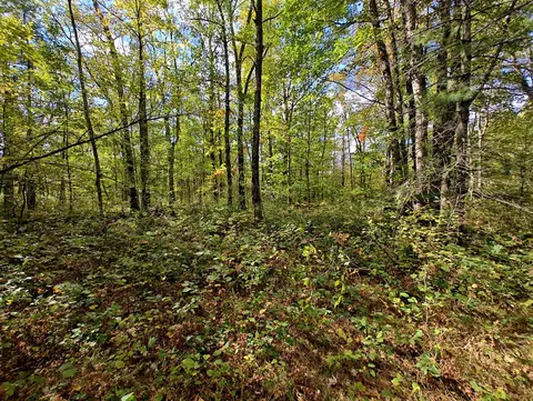 Vl S Walnut Ave, White Cloud, MI 49349 photo 28