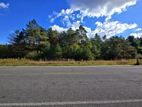 Vl S Walnut Ave, White Cloud, MI 49349 photo 3