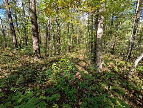 Vl S Walnut Ave, White Cloud, MI 49349 photo 25