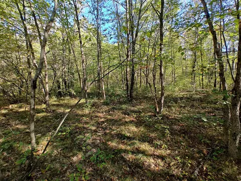 Vl S Walnut Ave, White Cloud, MI 49349 photo 19
