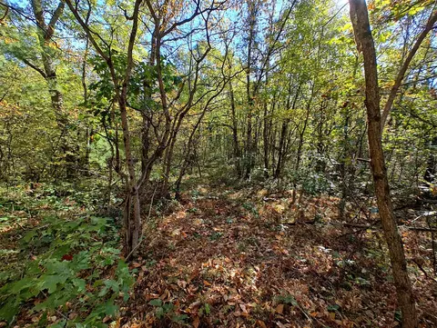 Vl S Walnut Ave, White Cloud, MI 49349 photo 16