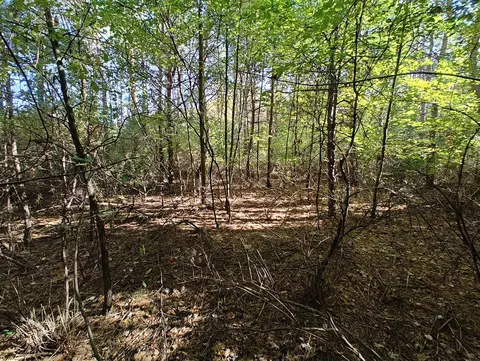 Vl S Walnut Ave, White Cloud, MI 49349 photo 7