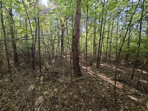 Vl S Walnut Ave, White Cloud, MI 49349 photo 8