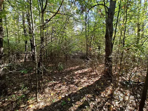 Vl S Walnut Ave, White Cloud, MI 49349 photo 9