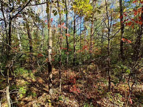 Vl S Walnut Ave, White Cloud, MI 49349 photo 12