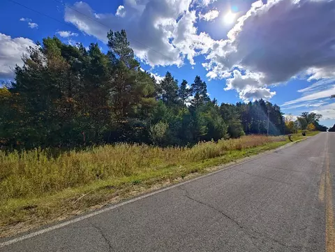 Vl S Walnut Ave, White Cloud, MI 49349 photo 2