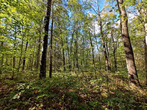 Vl S Walnut Ave, White Cloud, MI 49349 photo 26