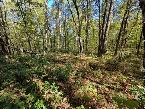 Vl S Walnut Ave, White Cloud, MI 49349 photo 23