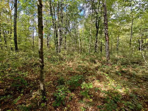 Vl S Walnut Ave, White Cloud, MI 49349 photo 27