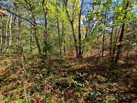 Vl S Walnut Ave, White Cloud, MI 49349 photo 13