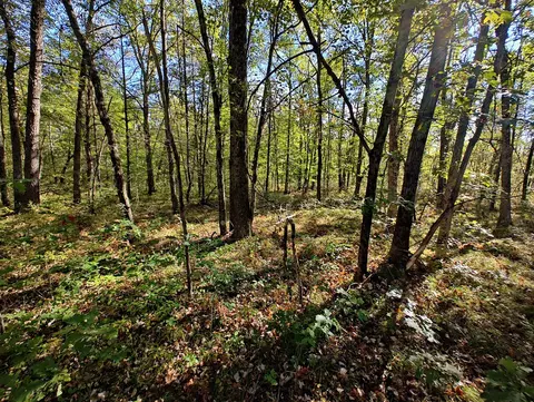 Vl S Walnut Ave, White Cloud, MI 49349 photo 22