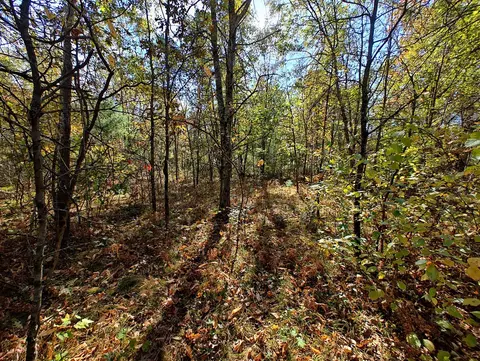 Vl S Walnut Ave, White Cloud, MI 49349 photo 14