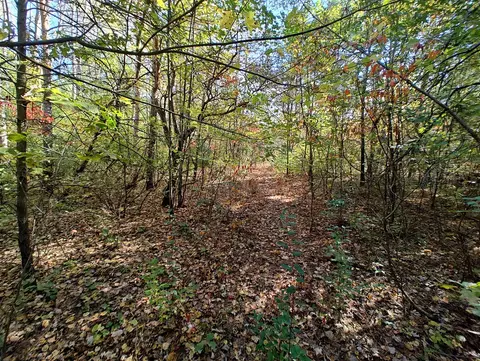 Vl S Walnut Ave, White Cloud, MI 49349 photo 11