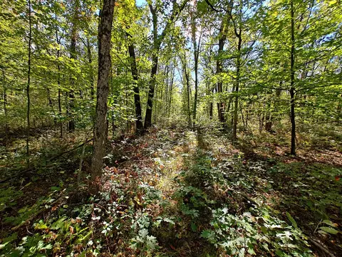 Vl S Walnut Ave, White Cloud, MI 49349 photo 24