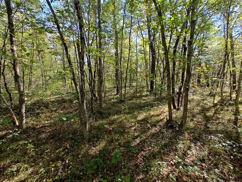 Vl S Walnut Ave, White Cloud, MI 49349 photo 18