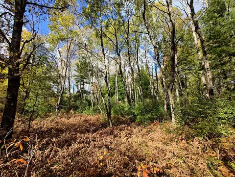 Vl S Walnut Ave, White Cloud, MI 49349 photo 31