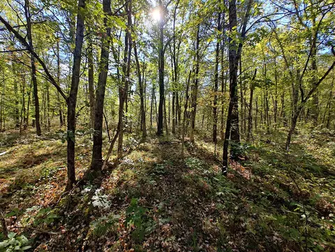 Vl S Walnut Ave, White Cloud, MI 49349 photo 21