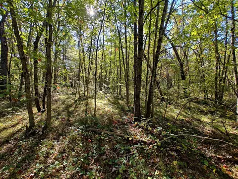 Vl S Walnut Ave, White Cloud, MI 49349 photo 17