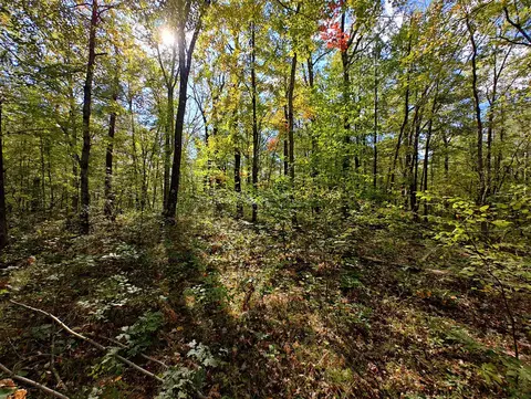 Vl S Walnut Ave, White Cloud, MI 49349 photo 29