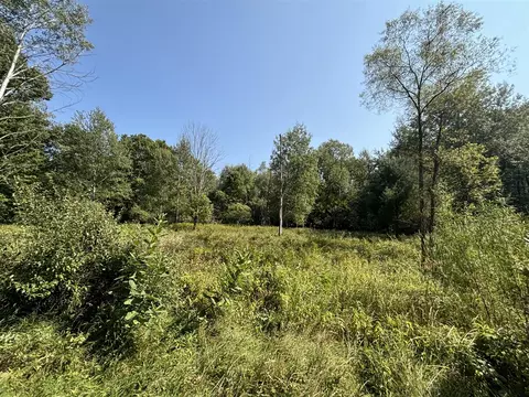 V/l 7.22a N 192nd, Walkerville, MI 49459 photo 5
