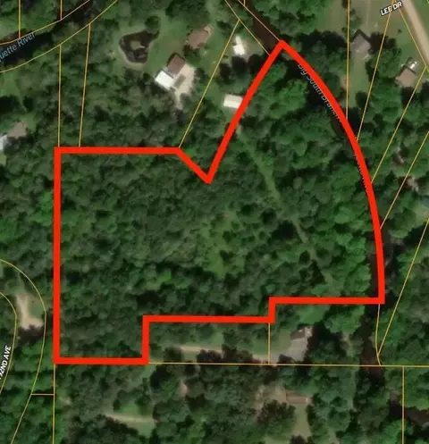 V/l 7.22a N 192nd, Walkerville, MI 49459 photo 21