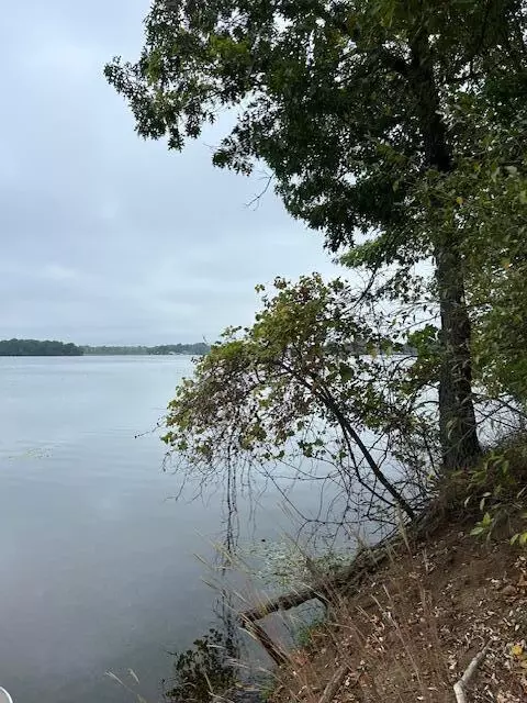 Snake Island, Jackson, MI 49201 photo 39
